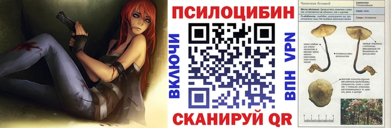 где купить наркотик блэк спрут рабочий сайт Псилоцибиновые грибы мицелий Сунжа
